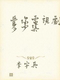 爱你电视剧一共多少集