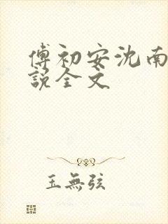 傅初安沈南雾小说全文
