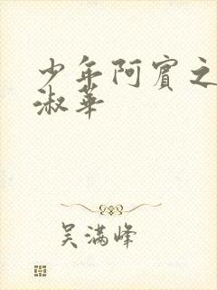 少年阿宾之钰慧淑华