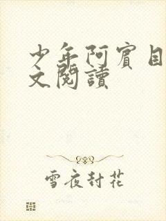 少年阿宾目录全文阅读