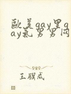 欧美gay里gay气男男网站