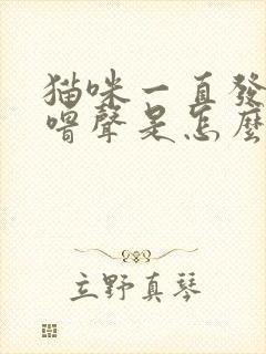 猫咪一直发出呼噜声是怎么了