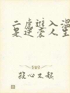 二虎进入温如玉是逆袭人生封面