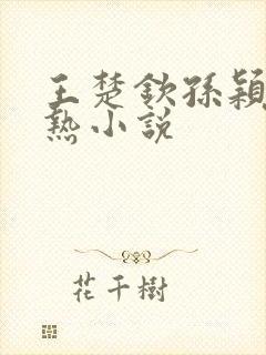 王楚钦孙颖莎亲热小说