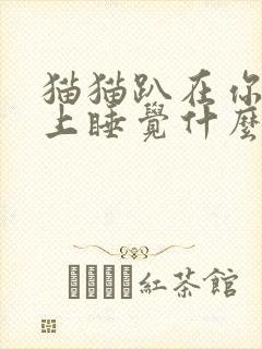 猫猫趴在你胸口上睡觉什么意义