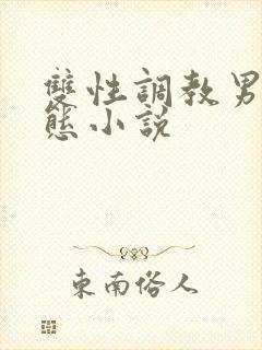 双性调教男奴变态小说