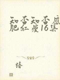 知否知否应是绿肥红瘦16集封面