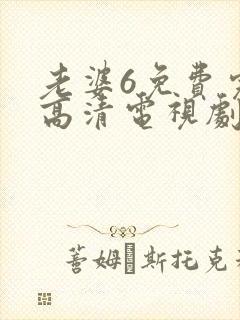 老婆6免费完整高清电视剧看封面