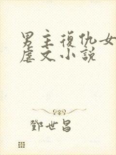 男主复仇女主的虐文小说