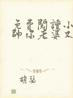 免费阅读小说少帅你老婆又跑了全文