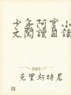 少年阿宾小说全文阅读目录封面