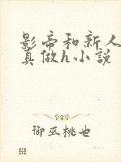 影帝和新人床戏真做h小说