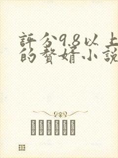 评分9.8以上的赘婿小说封面