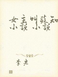 女主叫苏知意的小说 小说封面