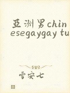 亚洲男chinesegaygay tube