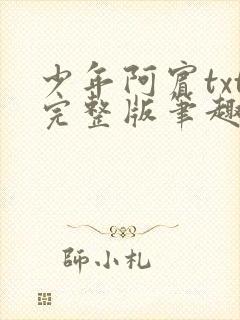 少年阿宾txt完整版笔趣阁封面