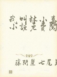 我叫林小喜全文小说免费阅读