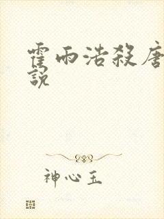 霍雨浩杀唐三小说封面