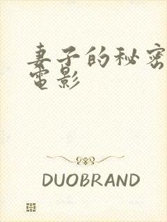 妻子的秘密韩剧电影封面