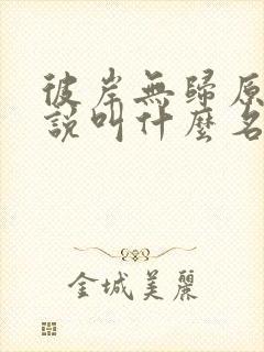 彼岸无归原著小说叫什么名字