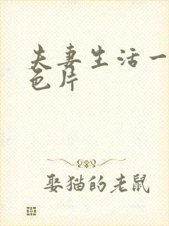 夫妻生活一级黄色片封面