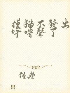 摸猫不发出呼噜呼噜声了