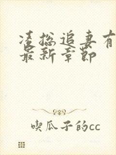 凌总追妻有点甜最新章节