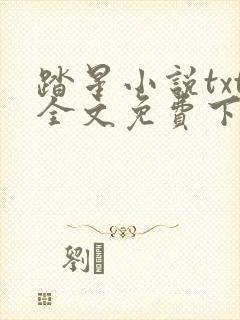 踏星小说txt全文免费下载