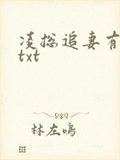 凌总追妻有点甜txt