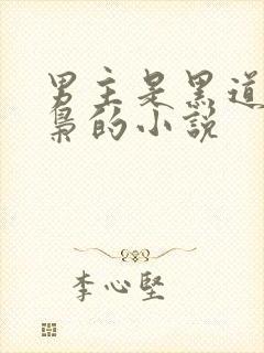 男主是黑道或毒枭的小说