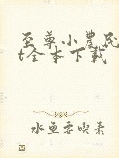 至尊小农民txt全本下载