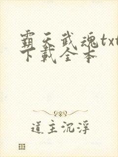 霸天武魂txt下载全本