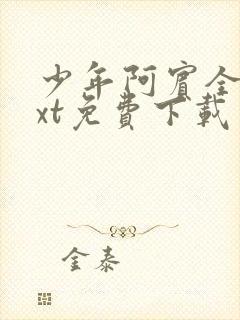 少年阿宾全文txt免费下载