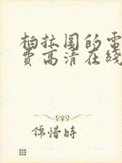 柏拉图的电影免费高清在线观看封面