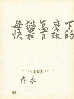 母猫怎么下奶最快最有效的