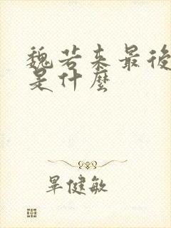 魏若来最后结局是什么封面