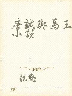 唐诚与马玉婷的小说封面