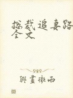 总裁追妻路漫漫全文