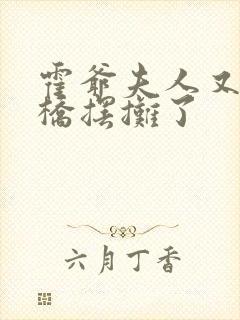 霍爷夫人又去天桥摆摊了封面