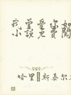 我曾爱你如尘埃小说免费阅读全文封面