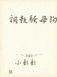 调教骚母狗高h