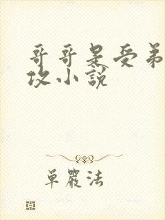 哥哥是受弟弟是攻小说