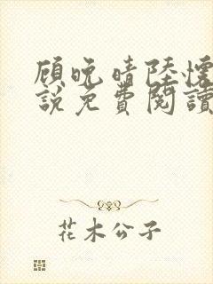 顾晚晴陆怀铮小说免费阅读最新章节