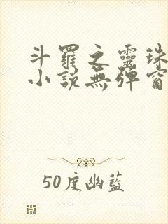 斗罗之灵珠神剑小说无弹窗全文免费阅读封面