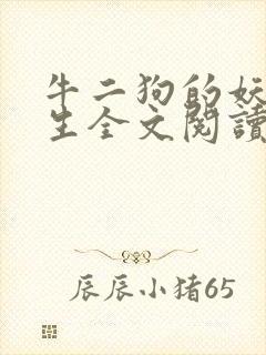 牛二狗的妖孽人生全文阅读封面