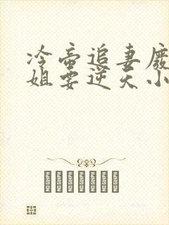 冷帝追妻废材小姐要逆天小说完整