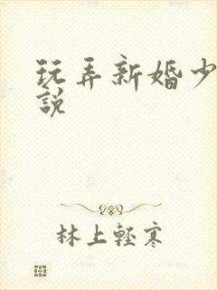 玩弄新婚少妇小说