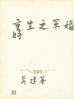 重生之军婚进行时