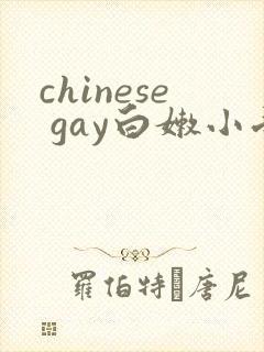 chinese gay白嫩小受