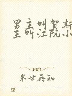 男主叫贺斯聿女主叫江阮小说名字